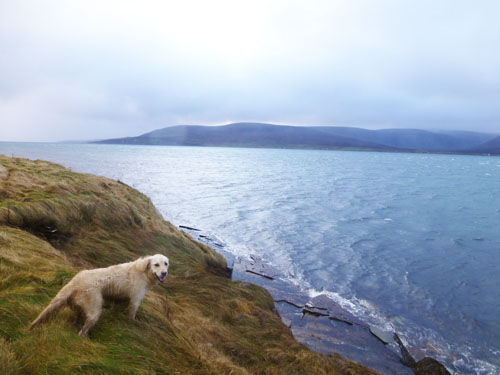 Molly overlooking Hoy-edited