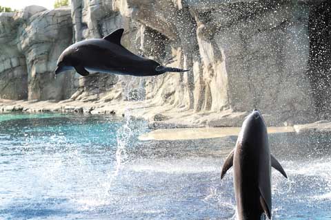 ?????????????????????????????????????????????????????????????????????????