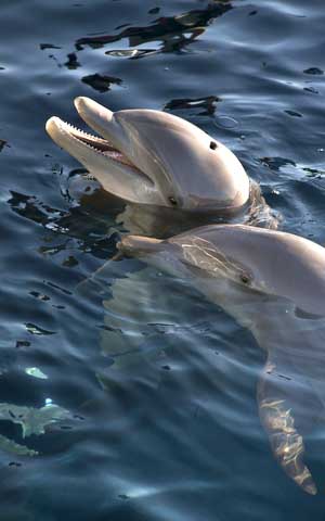 ?????????????????????????????????????????????????????????????????