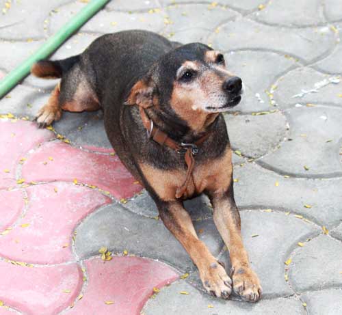 She isn't smiling yet, but she's about to.