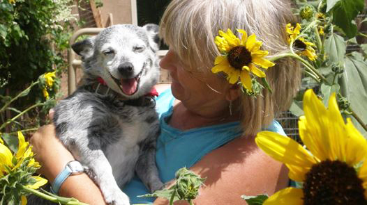 314417_373116696091309_1882966884_n