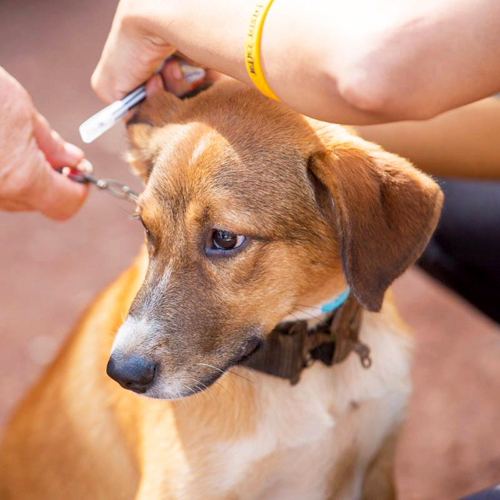 1170895_635239716506419_1561863694_n