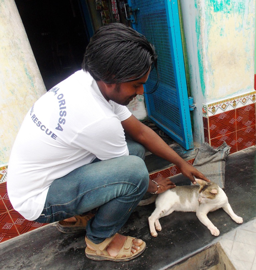 Mr. Sukumar Parida, one of APOWA’s disaster response team members, caring for a surviving cat at Purunabandha village in Ganjam district.