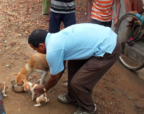 Mr. Bijaya is helping a puppy, while our team feeds her mother.