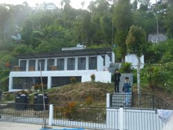 24  abc kennels at Darjeeling Animal Shelter