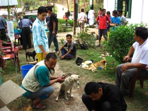 An ABC Camp at Kalimpong Animal Shelter