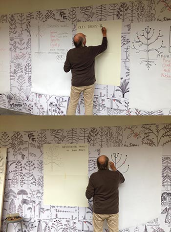 (FIG 3) halle_barefoot