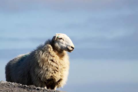 ?????????????????????????????????????????????????????????????????????