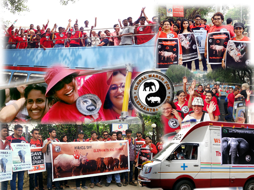 GLOBAL MARCH COLLAGE