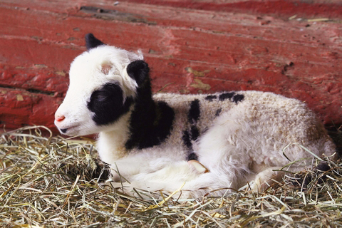 ???????????????????????????????????????????????????????????????????????????????