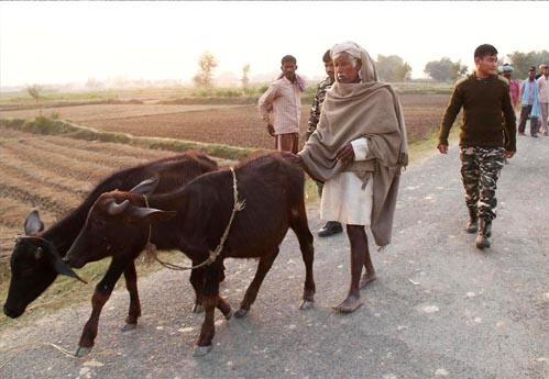 dawnreport one photo five1-1edited