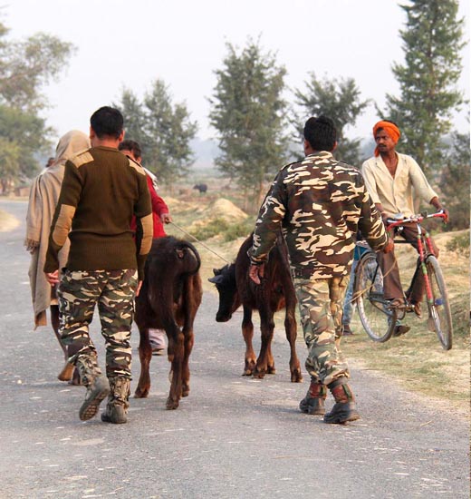 dawnreport one- photoone -1-1