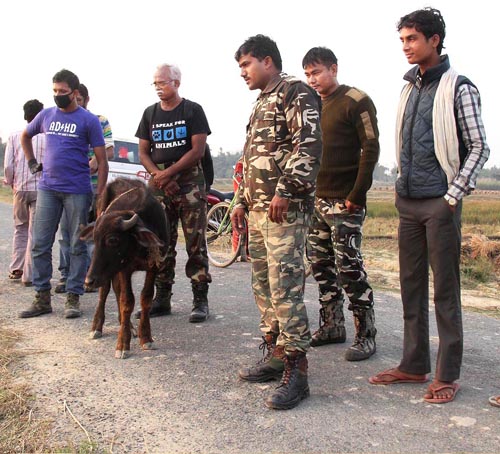 two dawnreport one photo 1-1edited