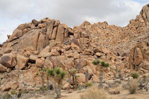 Joshua-Tree-NP,-rock-mtn
